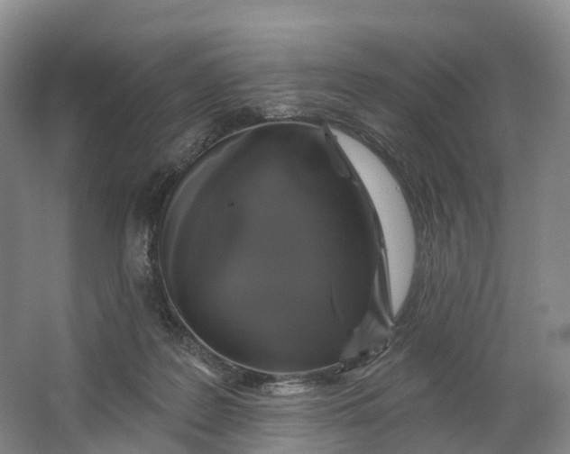 X0000064720219200602241652