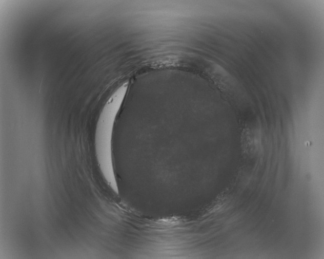 X0000064720224200602241652
