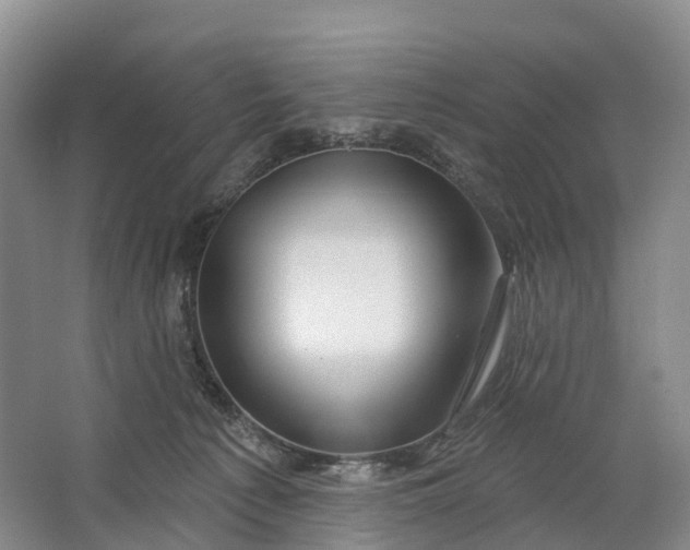 X0000064720225200602241652