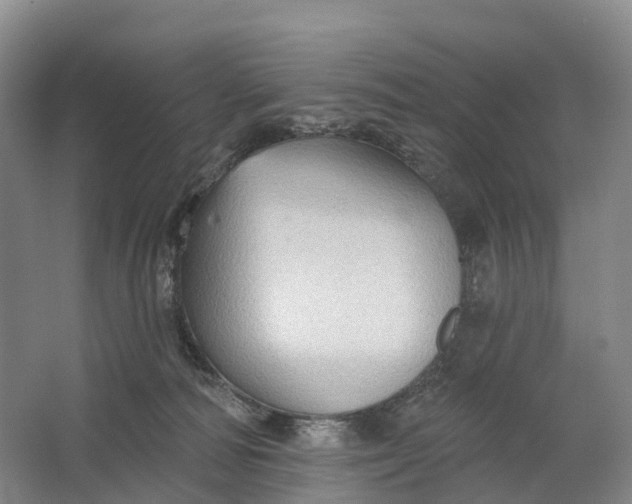X0000064720226200602241652