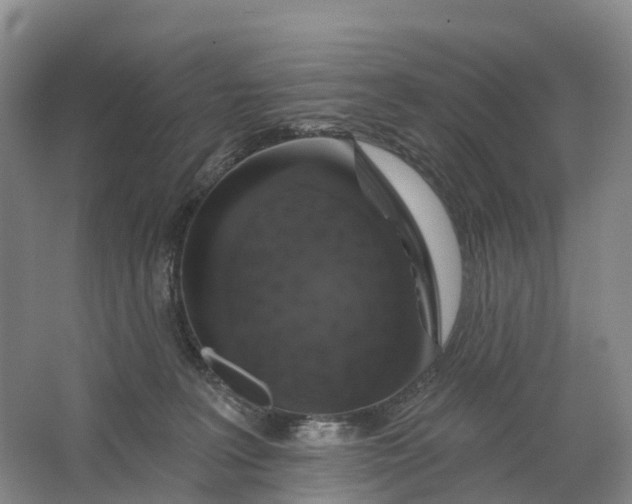 X0000064720227200602241652