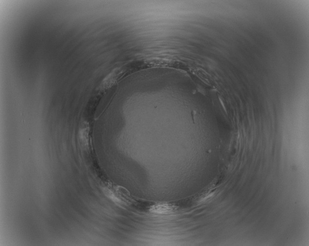 X0000064720231200602241651