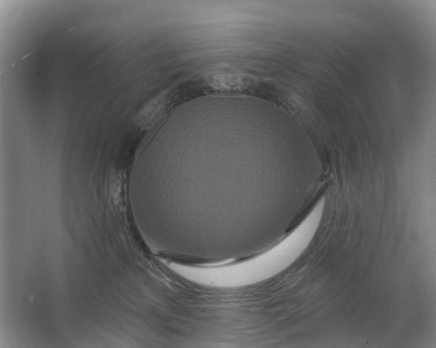 X0000064720233200602241651
