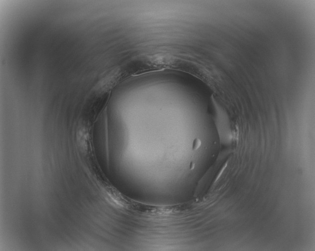 X0000064720235200602241651