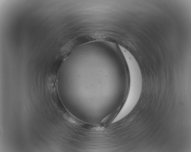 X0000064720237200602241651