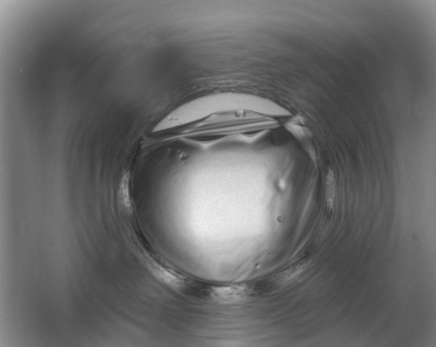 X0000064720238200602241651