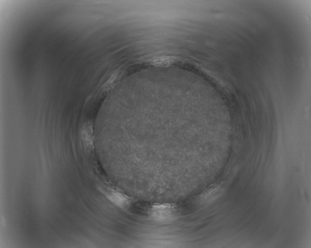 X0000064720240200602241651