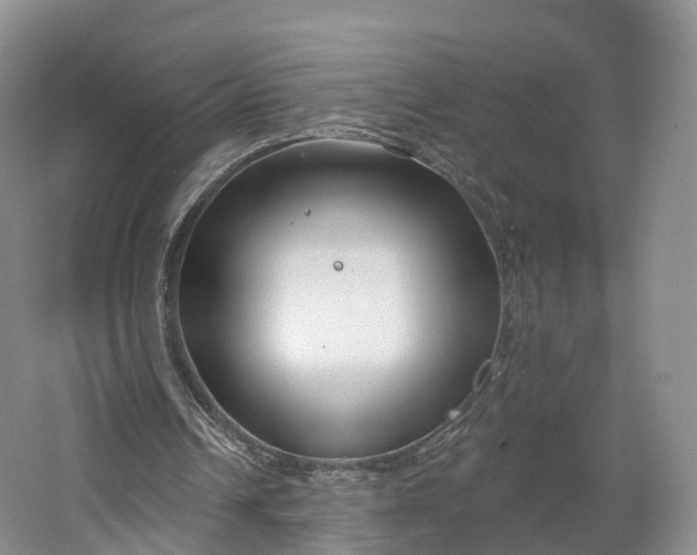 X0000064720242200602241650