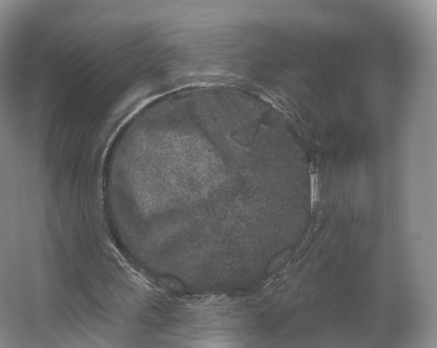 X0000064720243200602241650