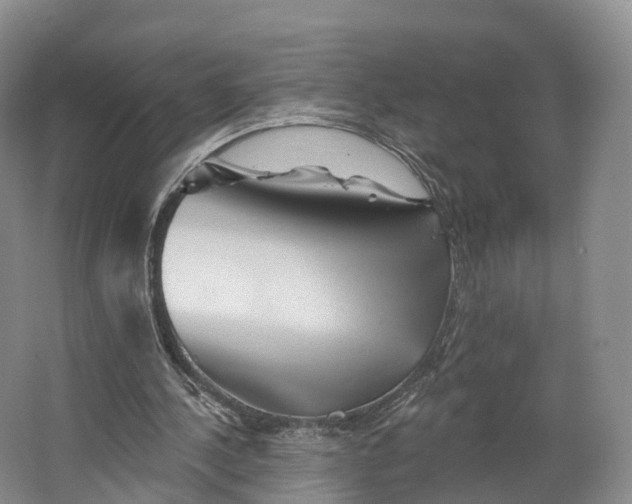 X0000064720244200602241650