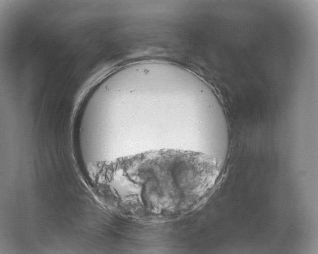 X0000064720245200602241650