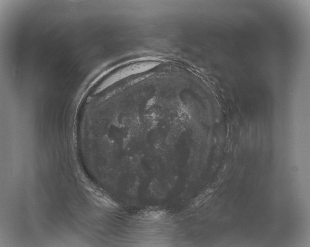 X0000064720247200602241650