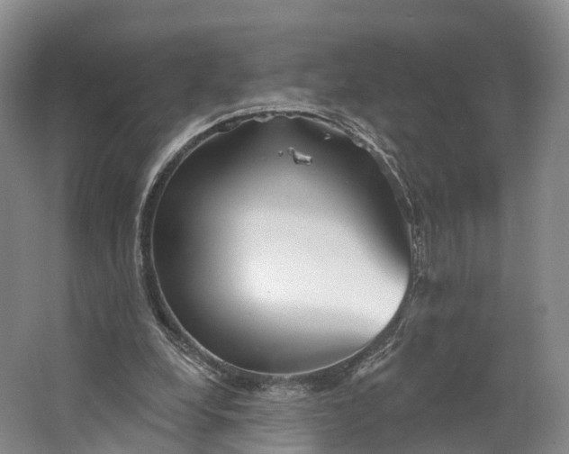 X0000064720248200602241650