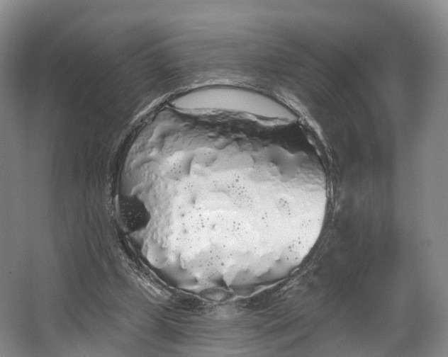 X0000064720249200602241650