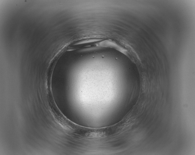 X0000064720251200602241650