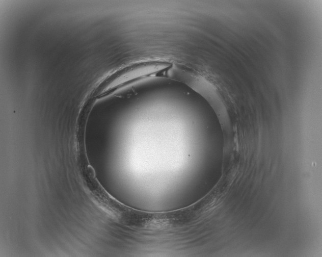 X0000064720252200602241650