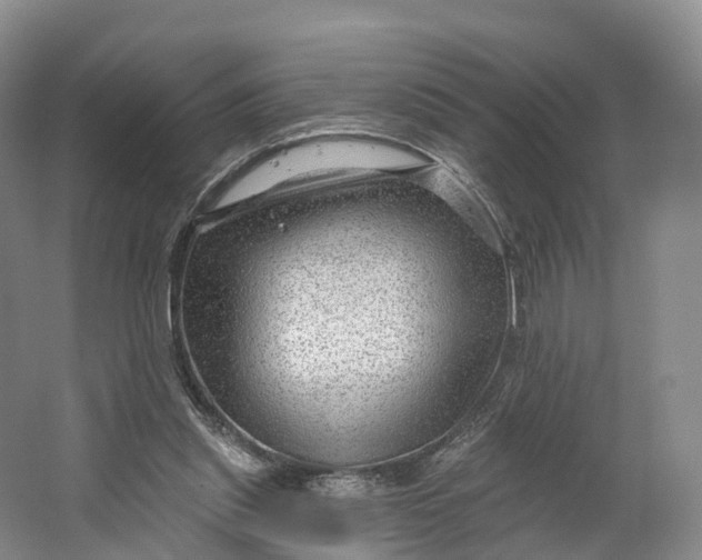 X0000064720253200602241650