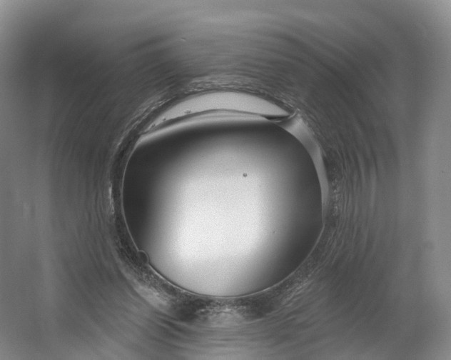 X0000064720254200602241650