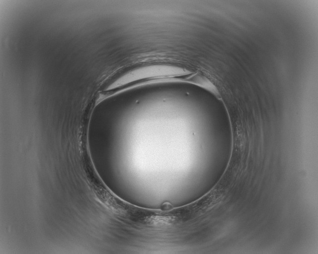 X0000064720255200602241650