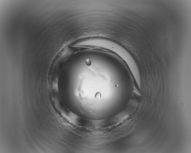 X0000064720256200602241650