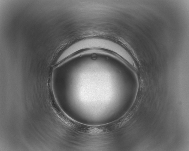 X0000064720257200602241650