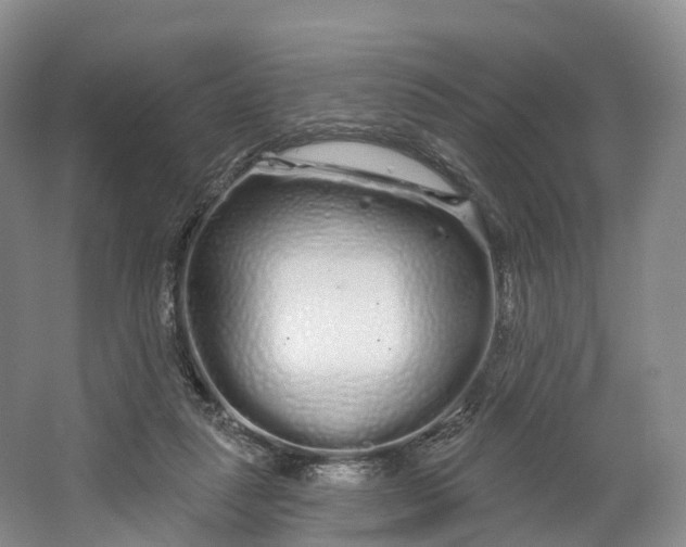 X0000064720259200602241651