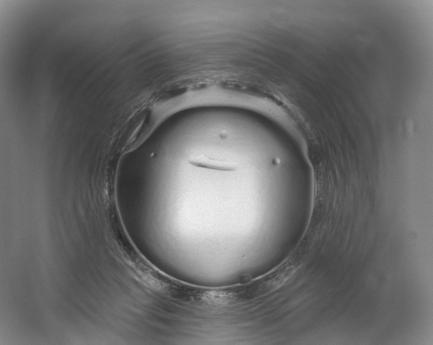 X0000064720261200602241651