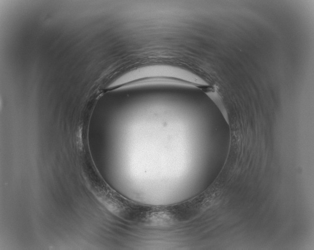 X0000064720262200602241651