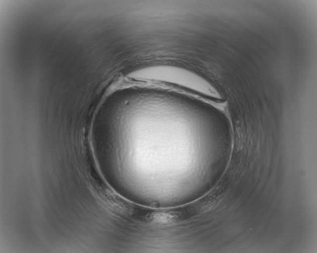 X0000064720263200602241651