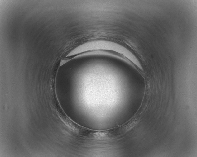 X0000064720265200602241651