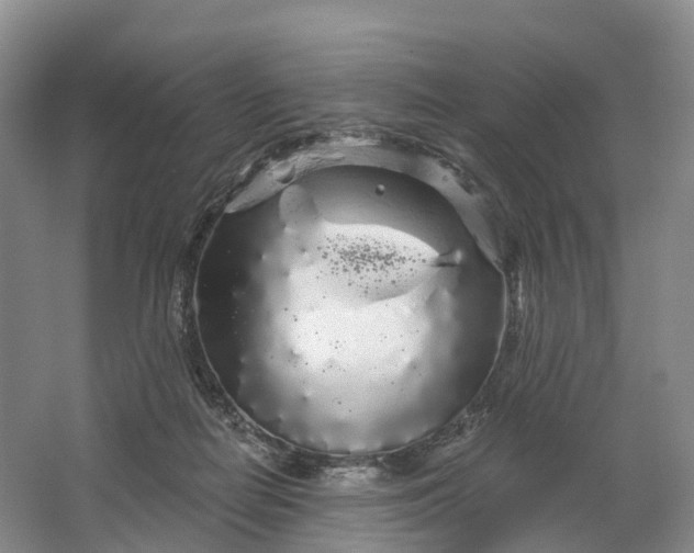 X0000064720266200602241651