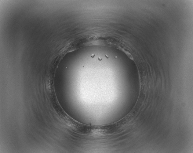 X0000064720268200602241651