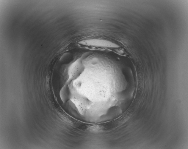 X0000064720269200602241651