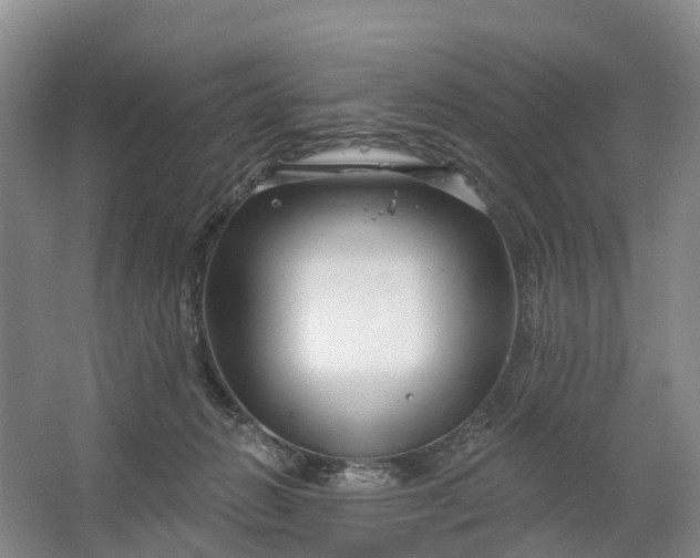 X0000064720270200602241651