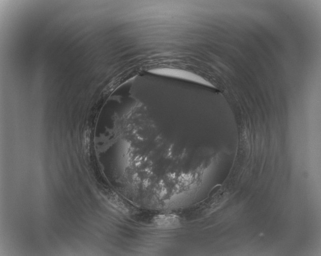 X0000064720271200602241651