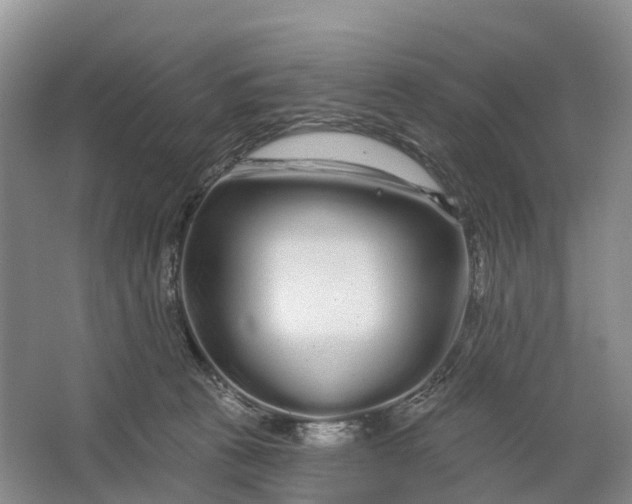 X0000064720273200602241651