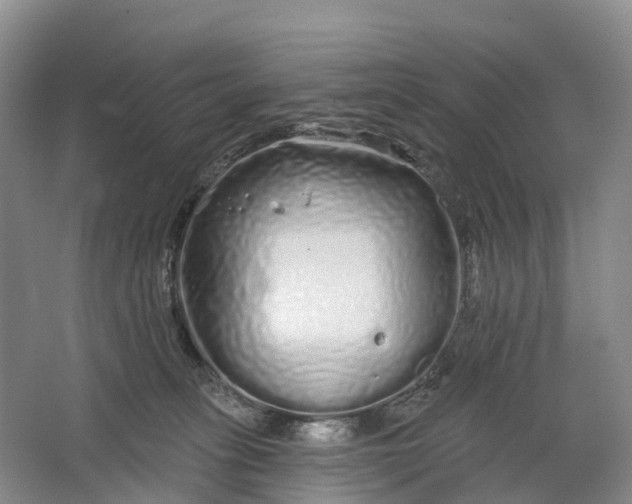 X0000064720275200602241651