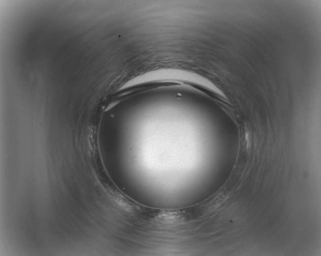 X0000064720280200602241651