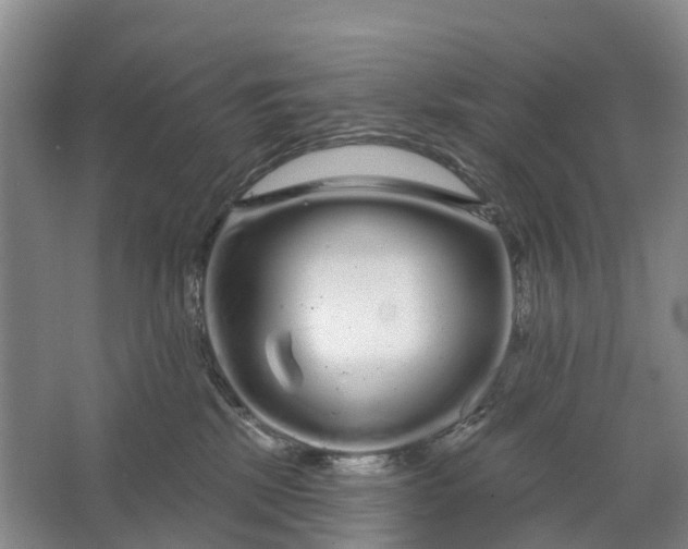 X0000064720281200602241651