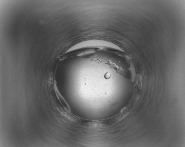 X0000064720284200602241651