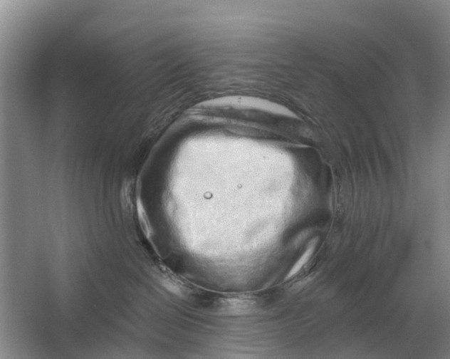 X0000064720286200602241651