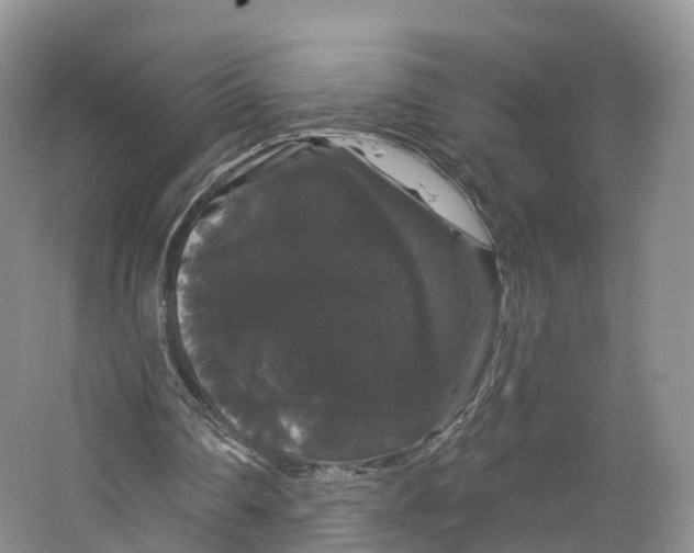 X0000064720290200602241650