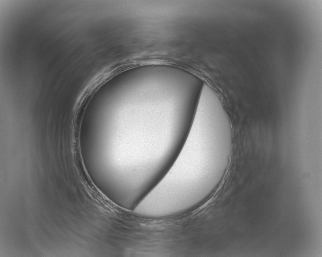 X0000064720293200602241650