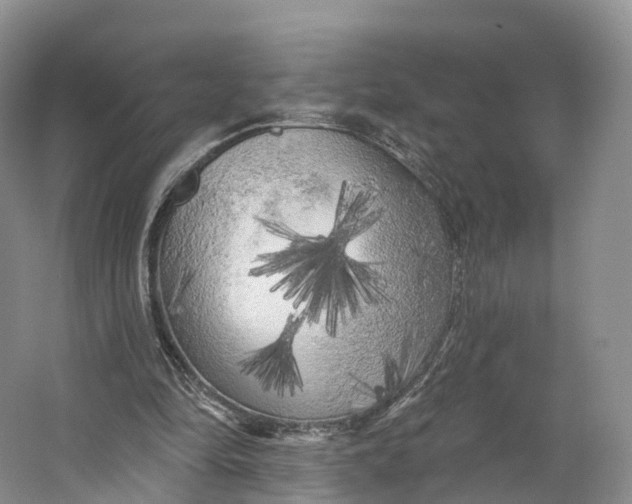 X0000064720294200602241650