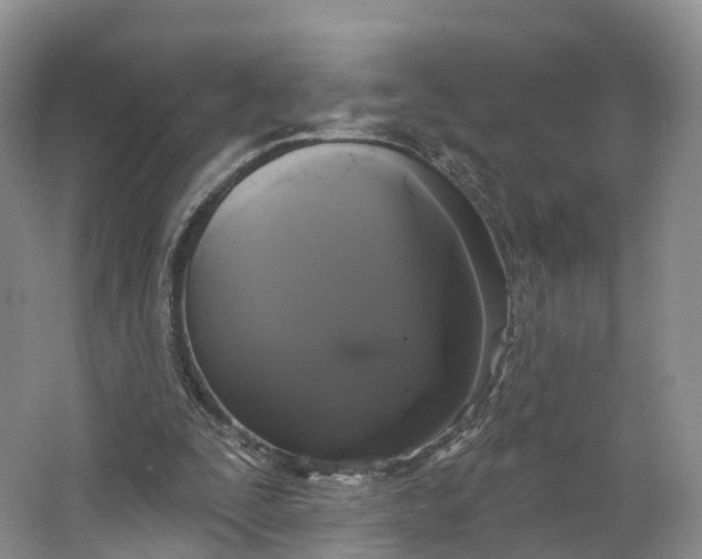 X0000064720295200602241650