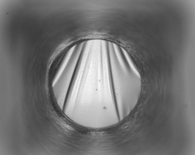 X0000064720296200602241650