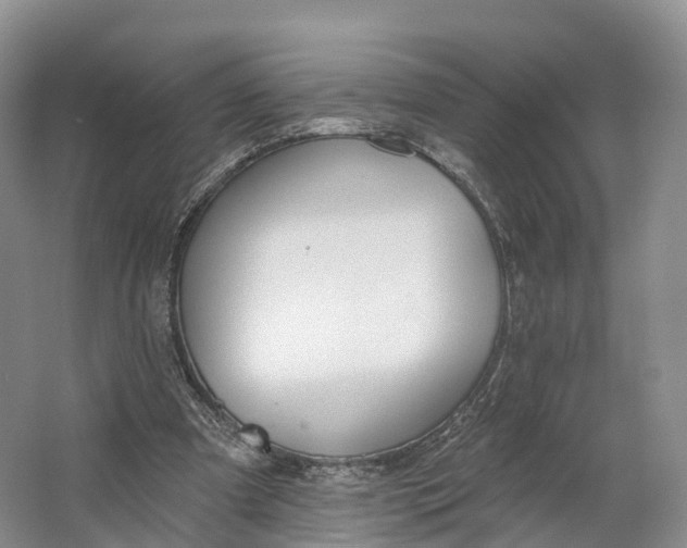 X0000064720297200602241650