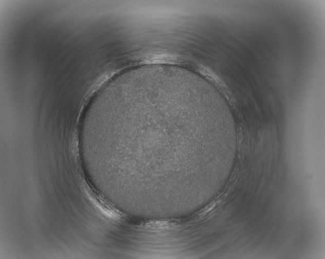 X0000064720298200602241650