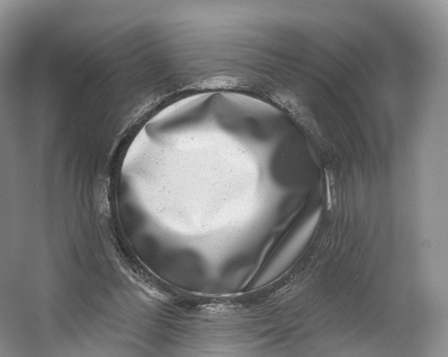 X0000064720300200602241650
