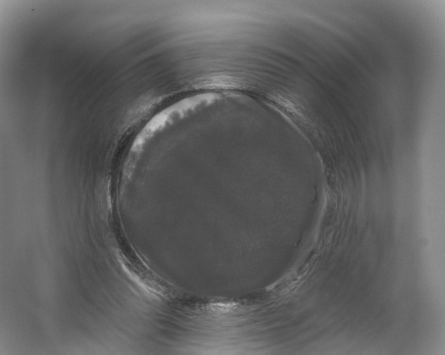 X0000064720302200602241650